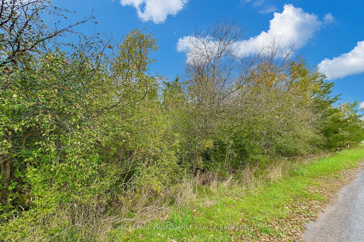 Lot 15 Martin Drive Property Photo 6