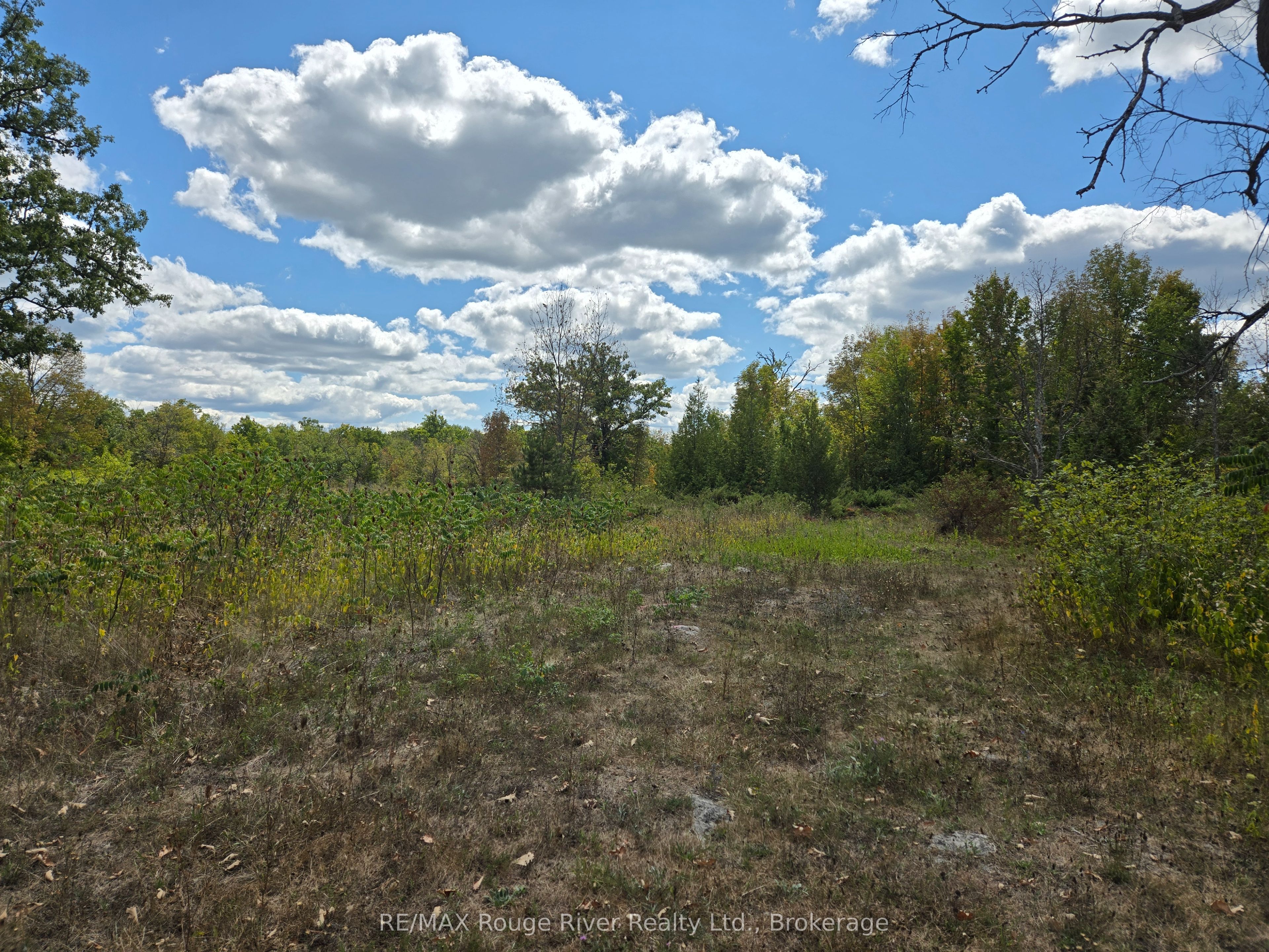 103080 Highway 7 Highway E Property Photo 1