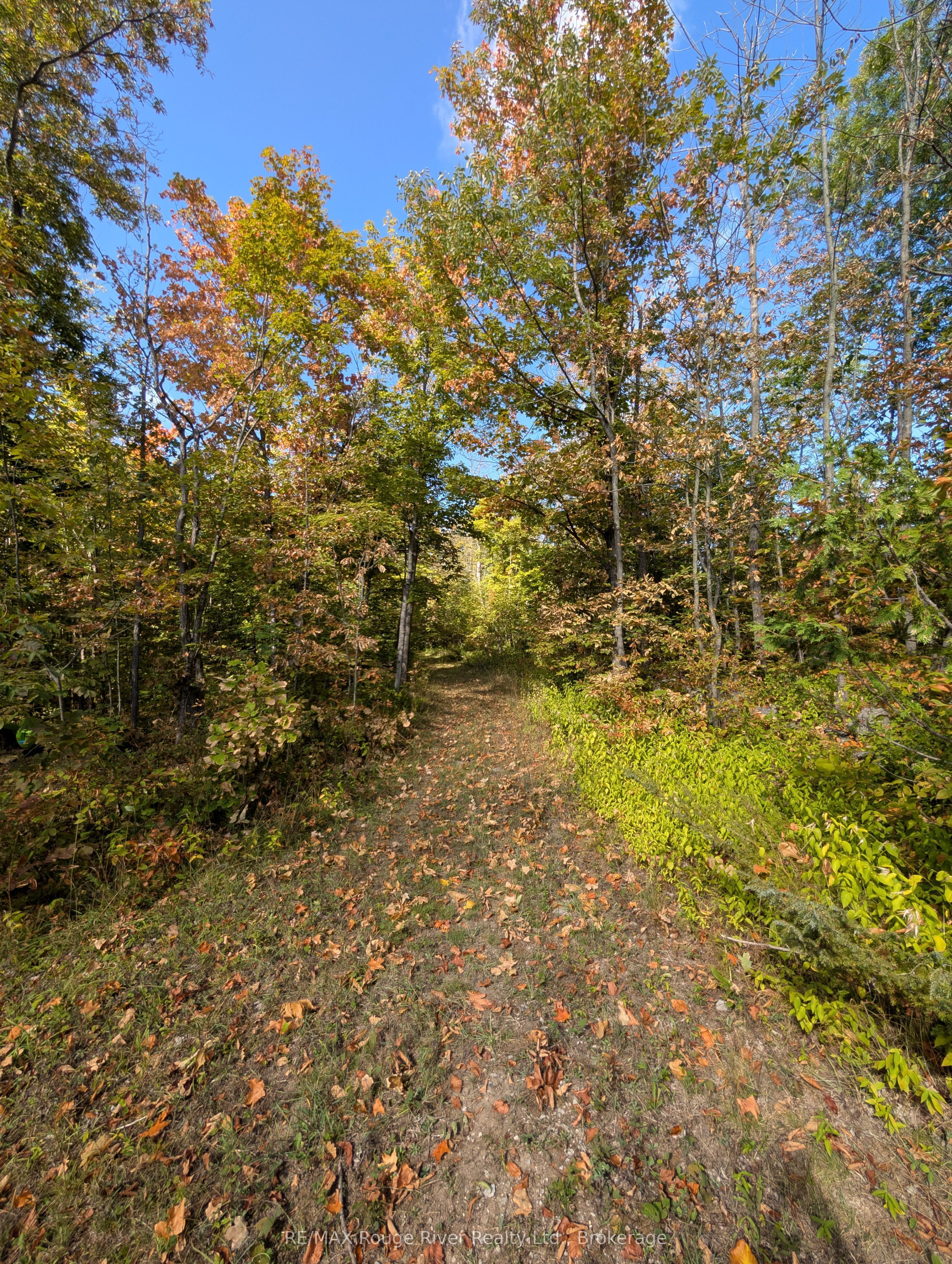 103080 Highway 7 Highway E Property Photo 2