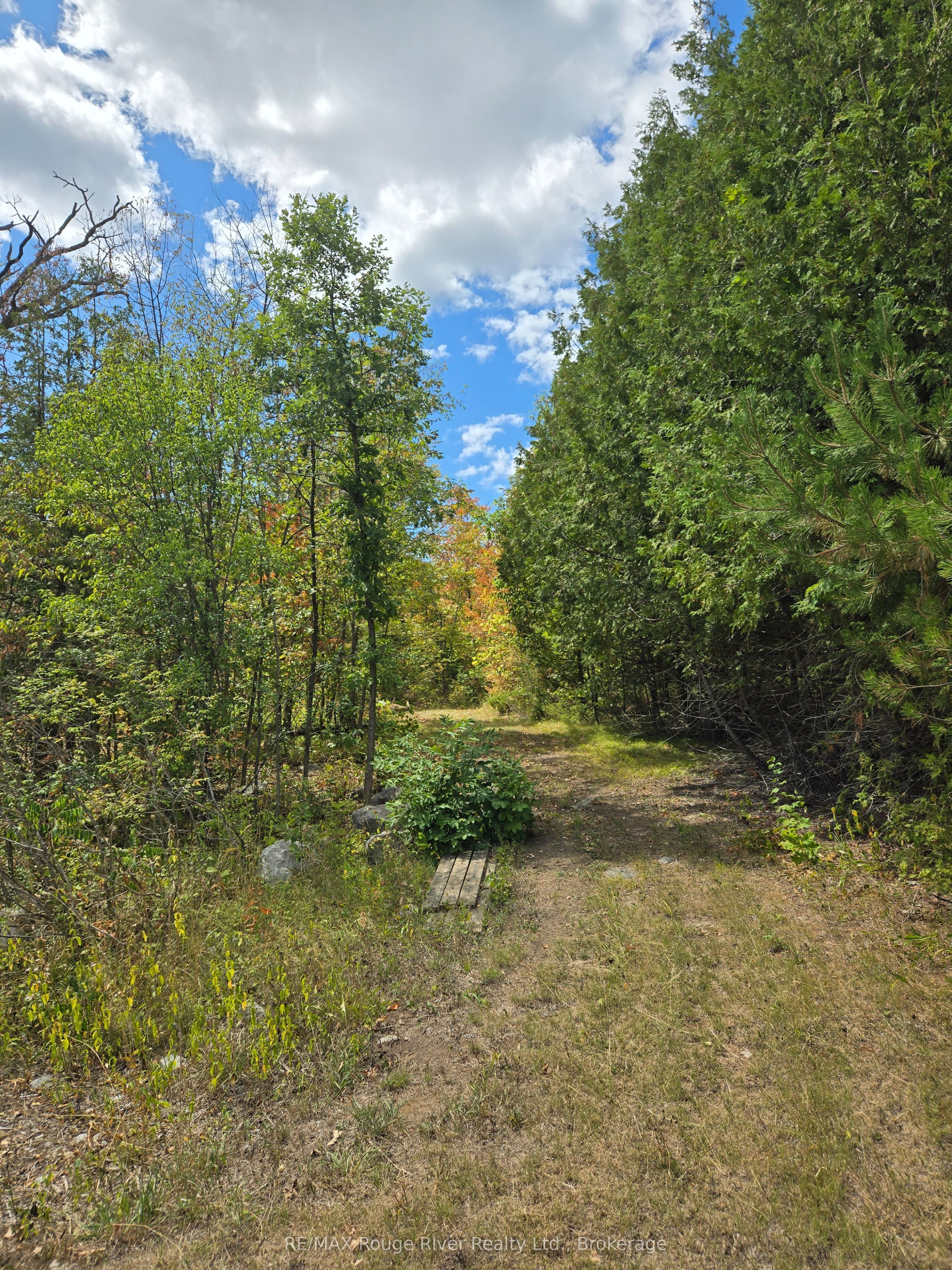 103080 Highway 7 Highway E Property Photo 3