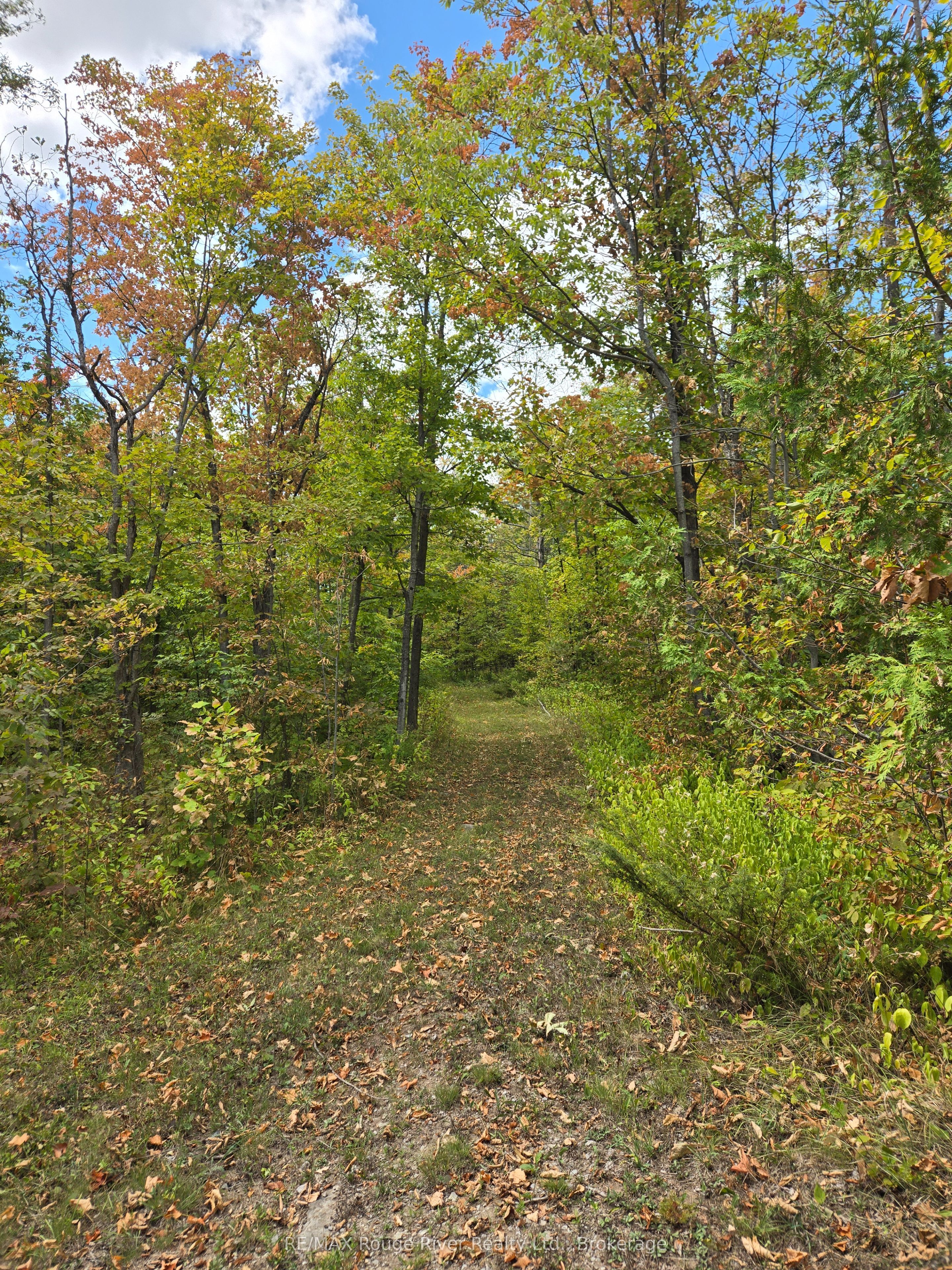 103080 Highway 7 Highway E Property Photo 4
