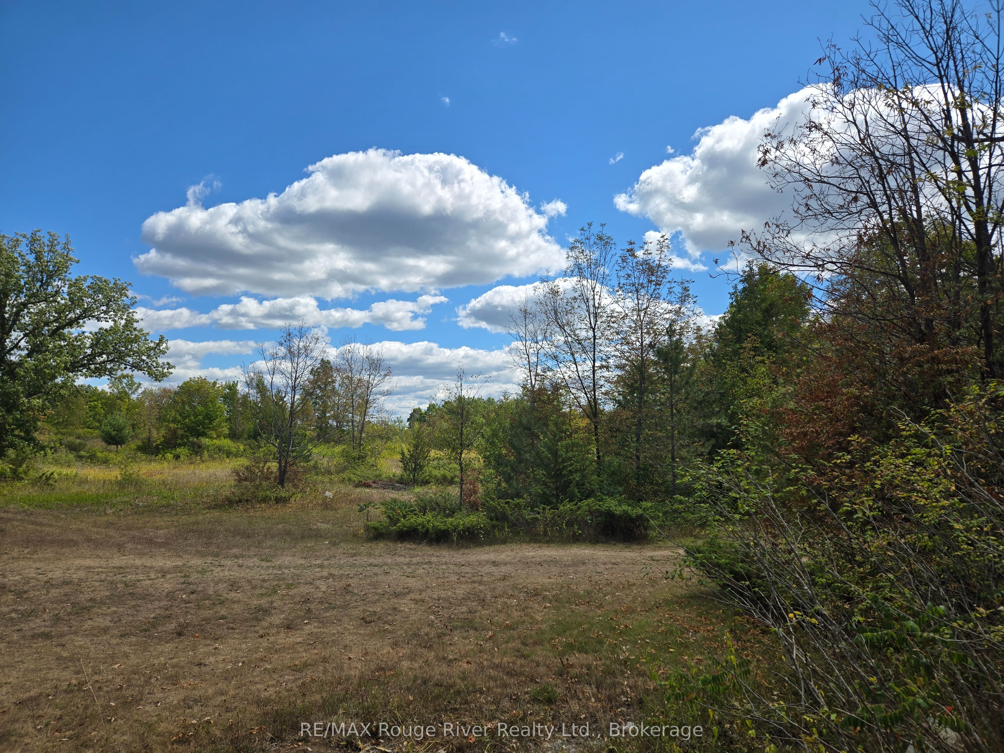 103080 Highway 7 Highway E Property Photo 5