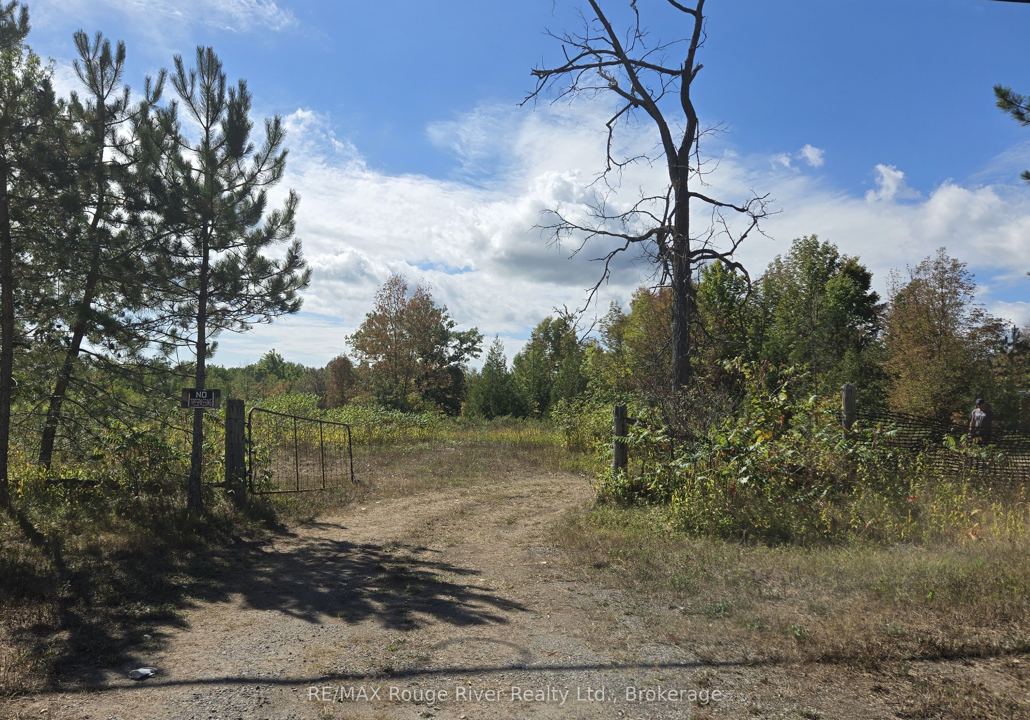 103080 Highway 7 Highway E Property Photo 6
