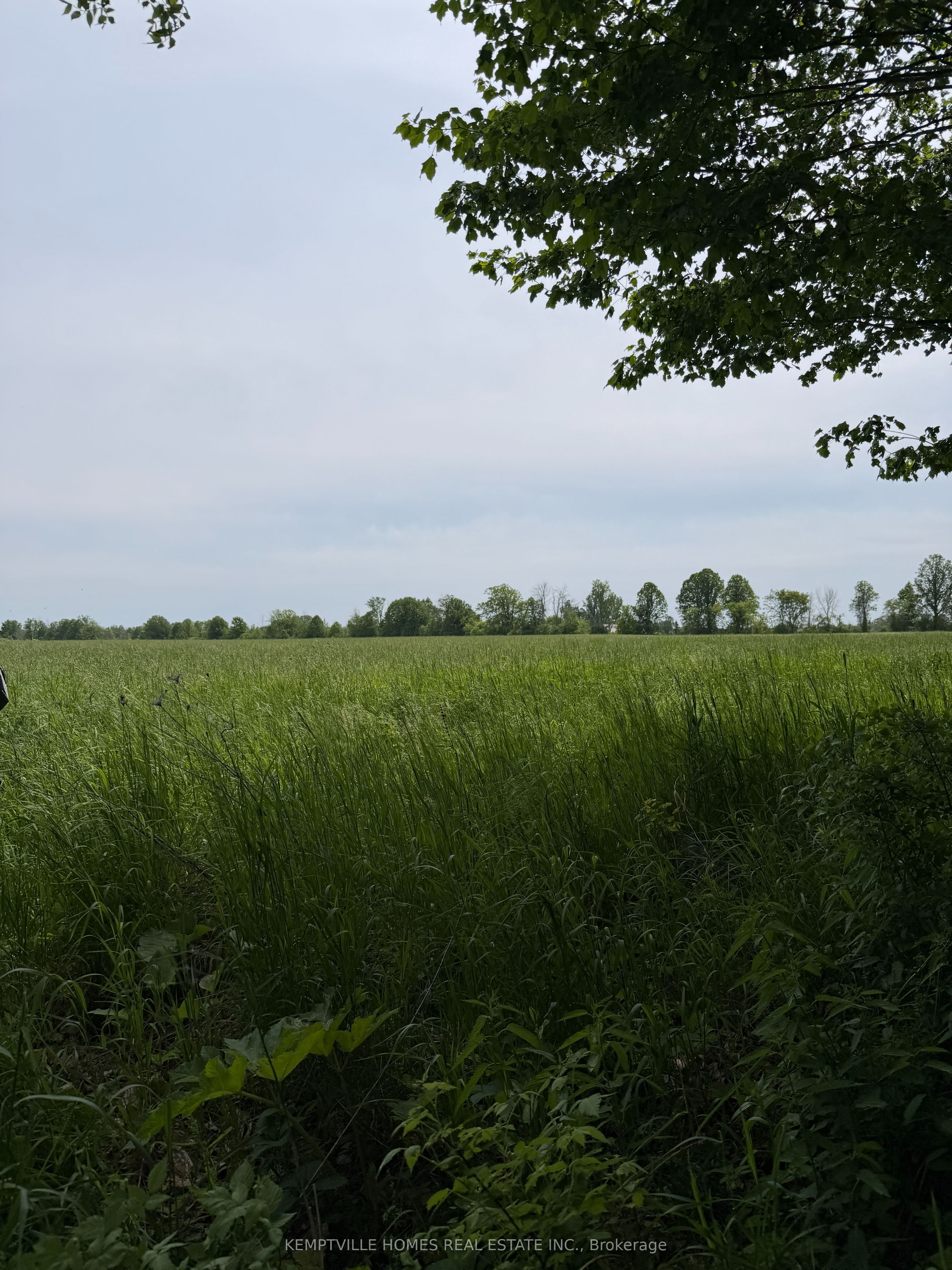 00 Richardson Road Property Photo 13