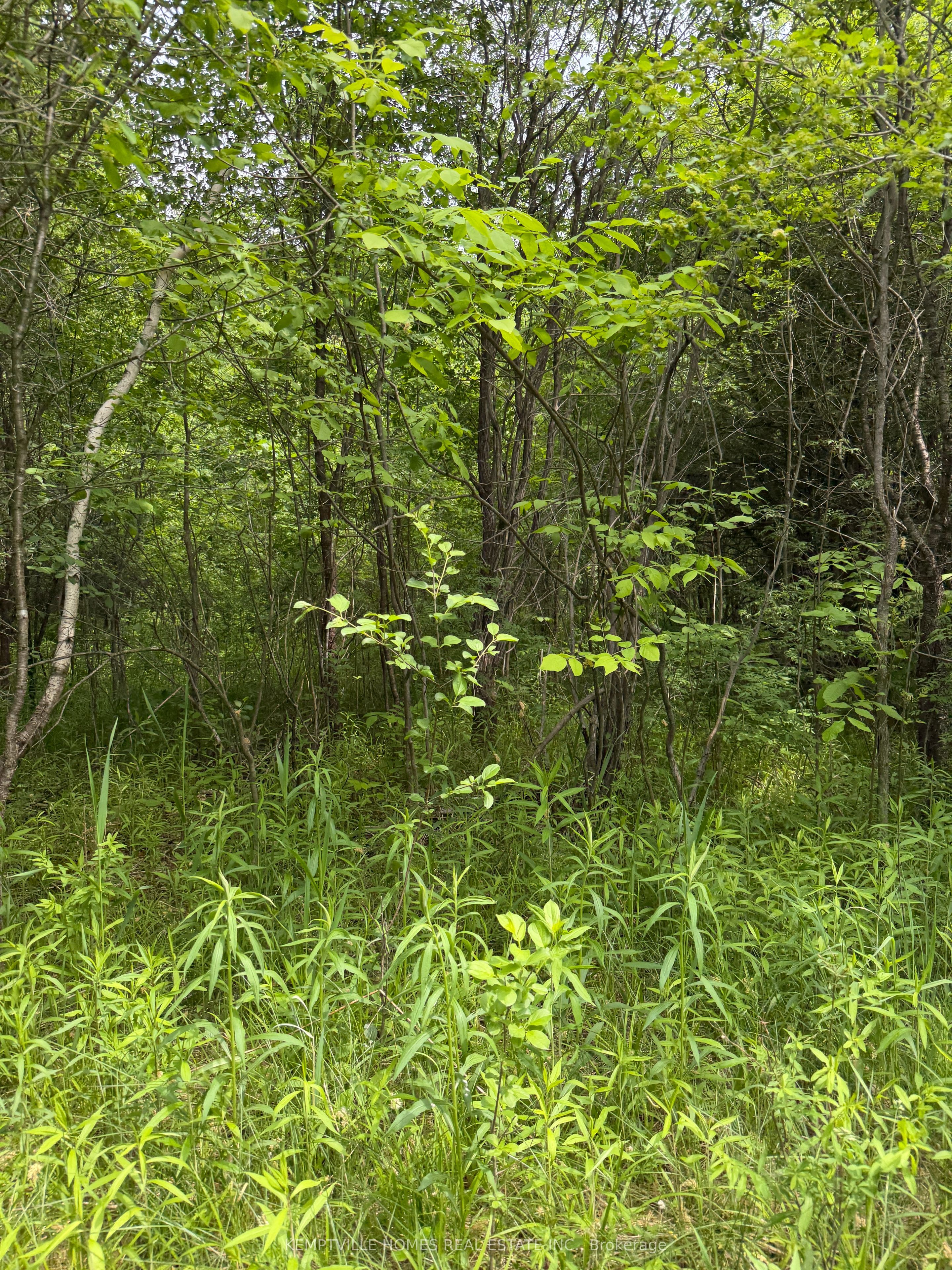 00 Richardson Road Property Photo 19