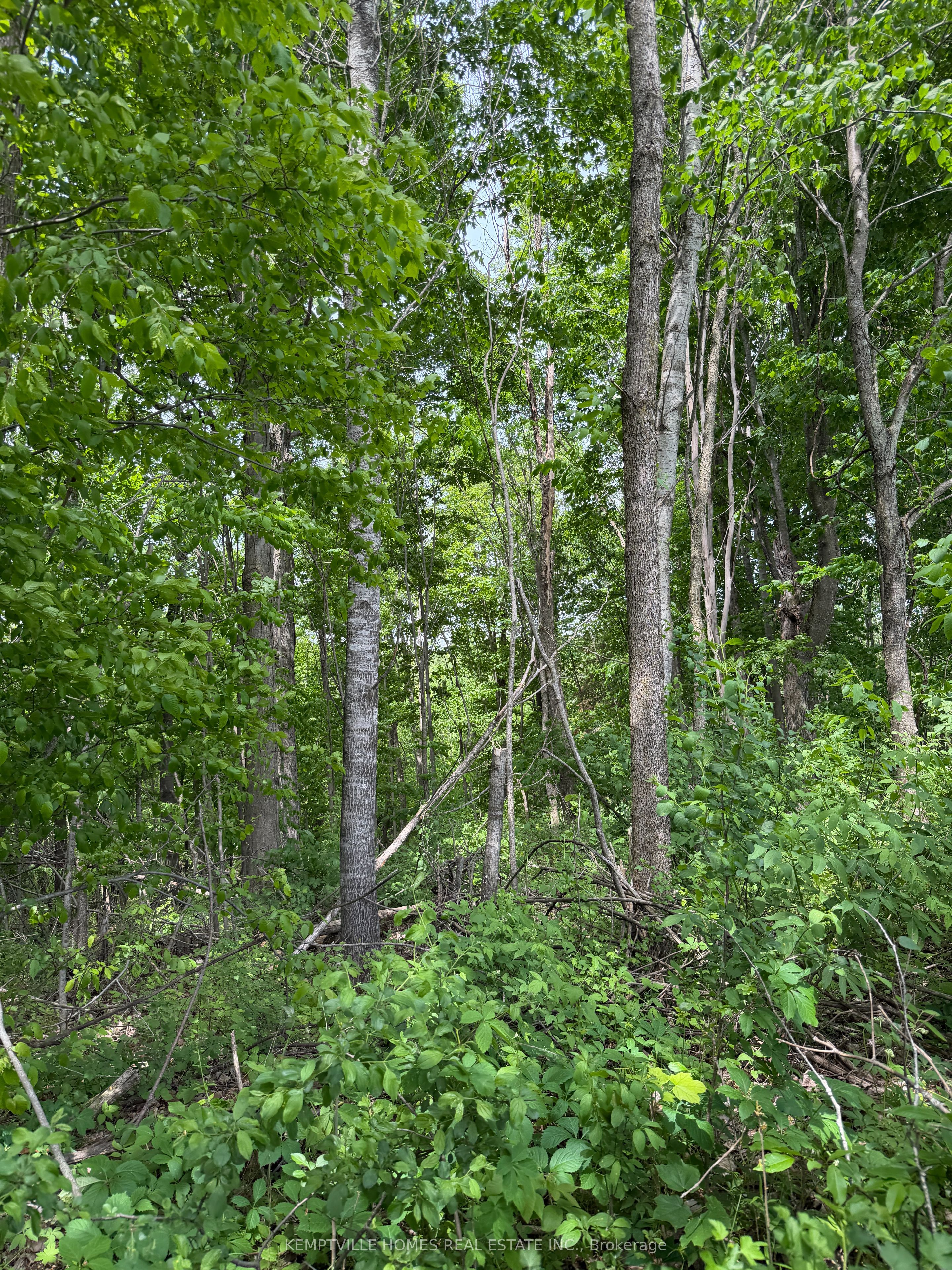 00 Richardson Road Property Photo 12