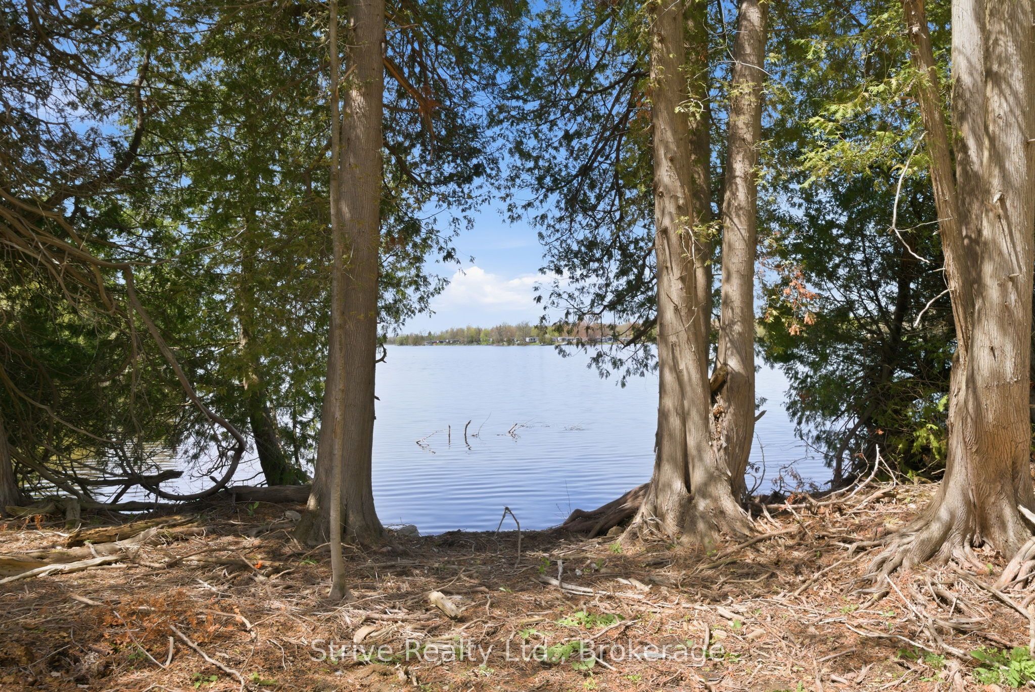 00 Lakeview Drive Property Photo 15
