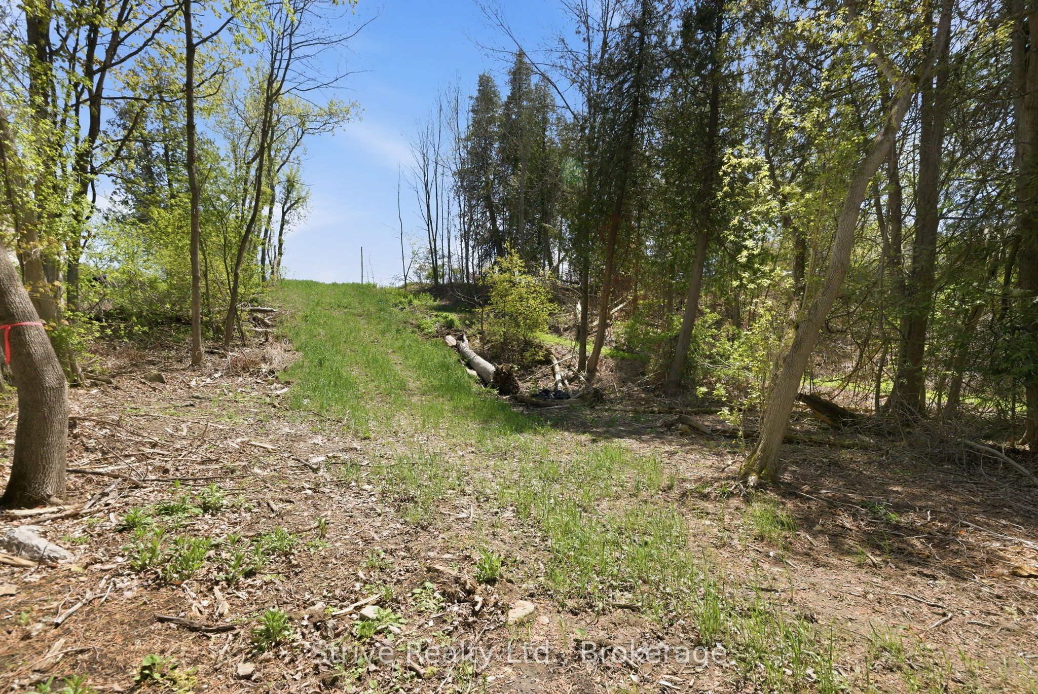 00 Lakeview Drive Property Photo 16
