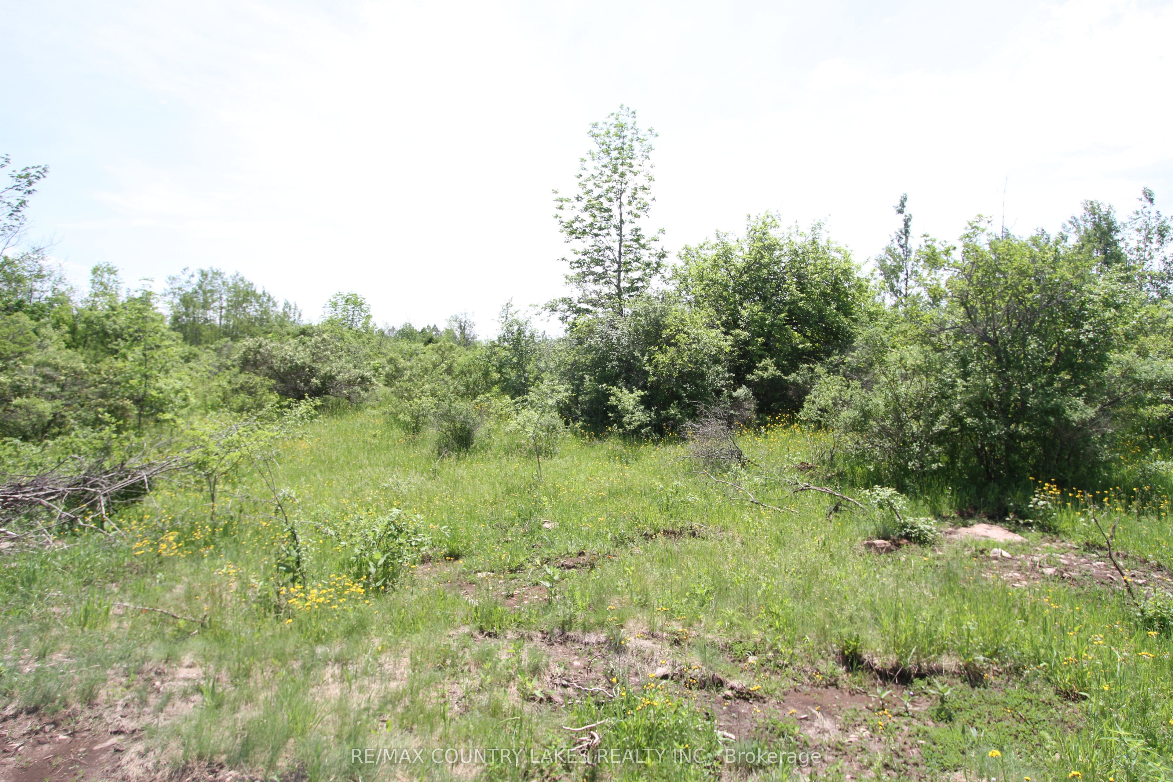 Lt25 Ramblewood Trail Property Photo 8