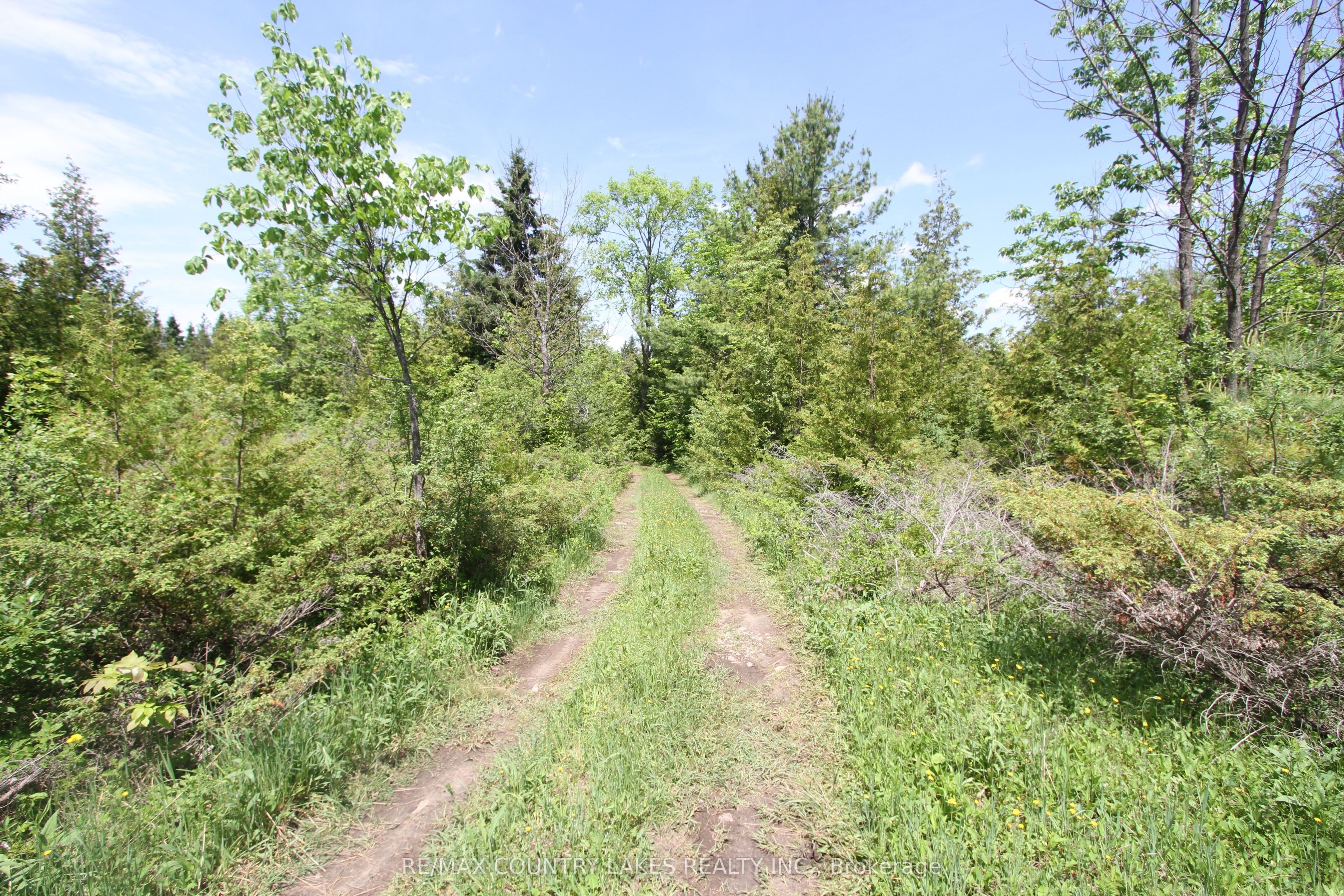 Lt25 Ramblewood Trail Property Photo 12