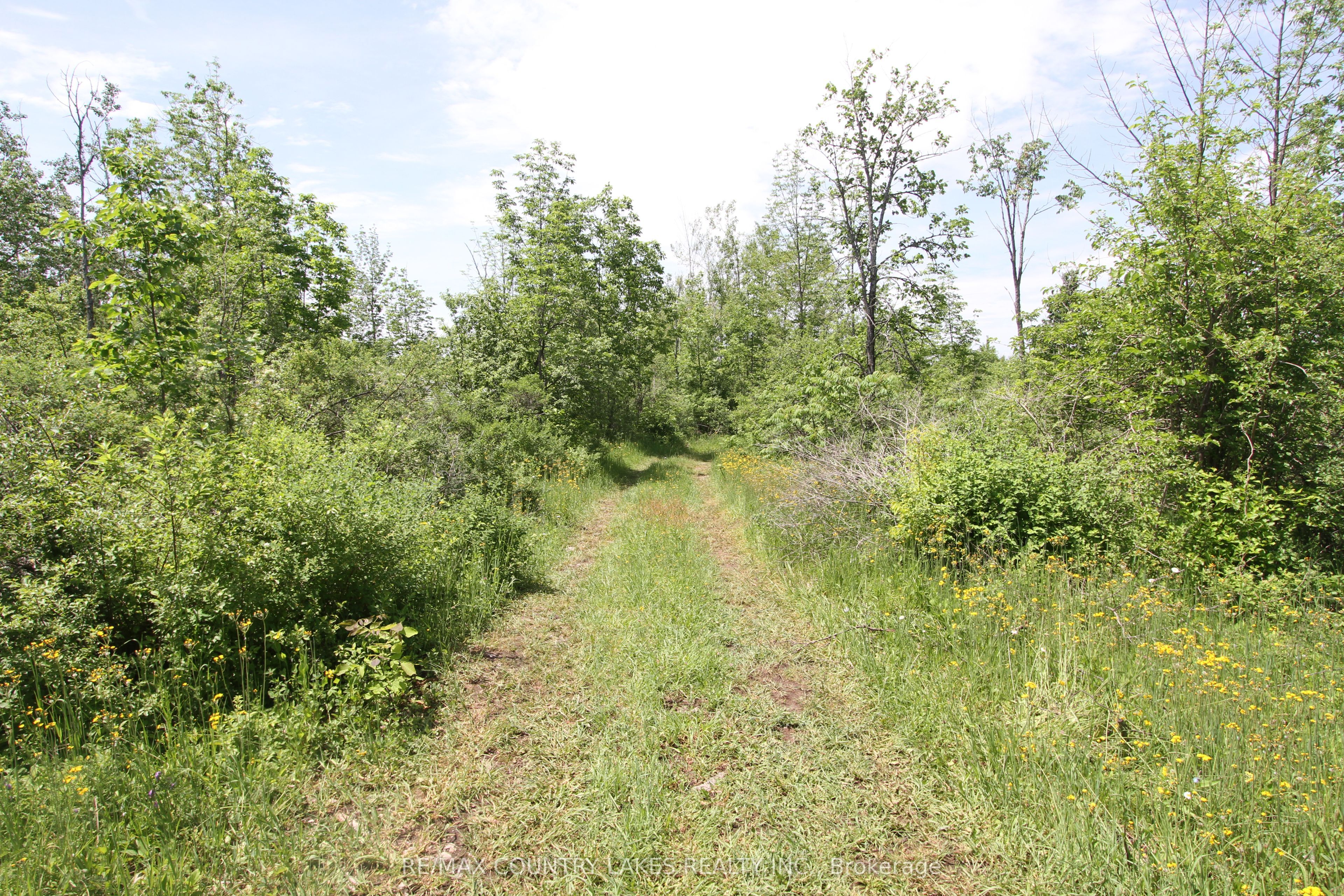 Lt25 Ramblewood Trail Property Photo 14
