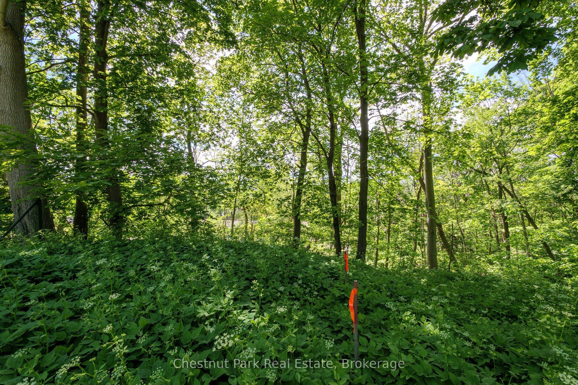 956 6th Avenue E Property Photo 7
