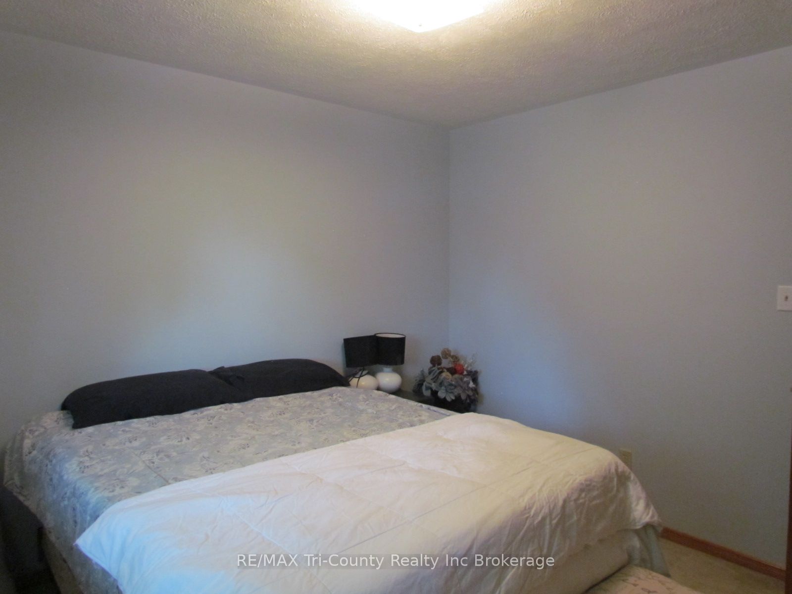 29 Beckett Boulevard Property Photo 8