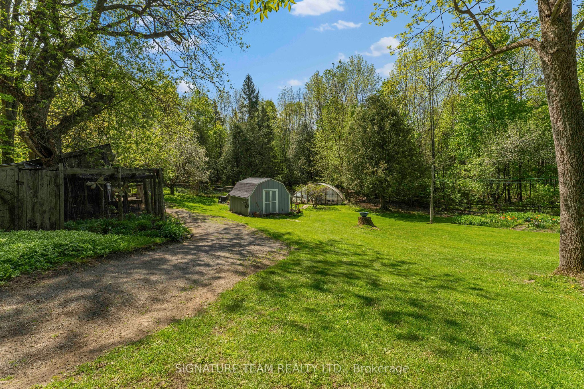 356 Dittburner Road Property Photo 5
