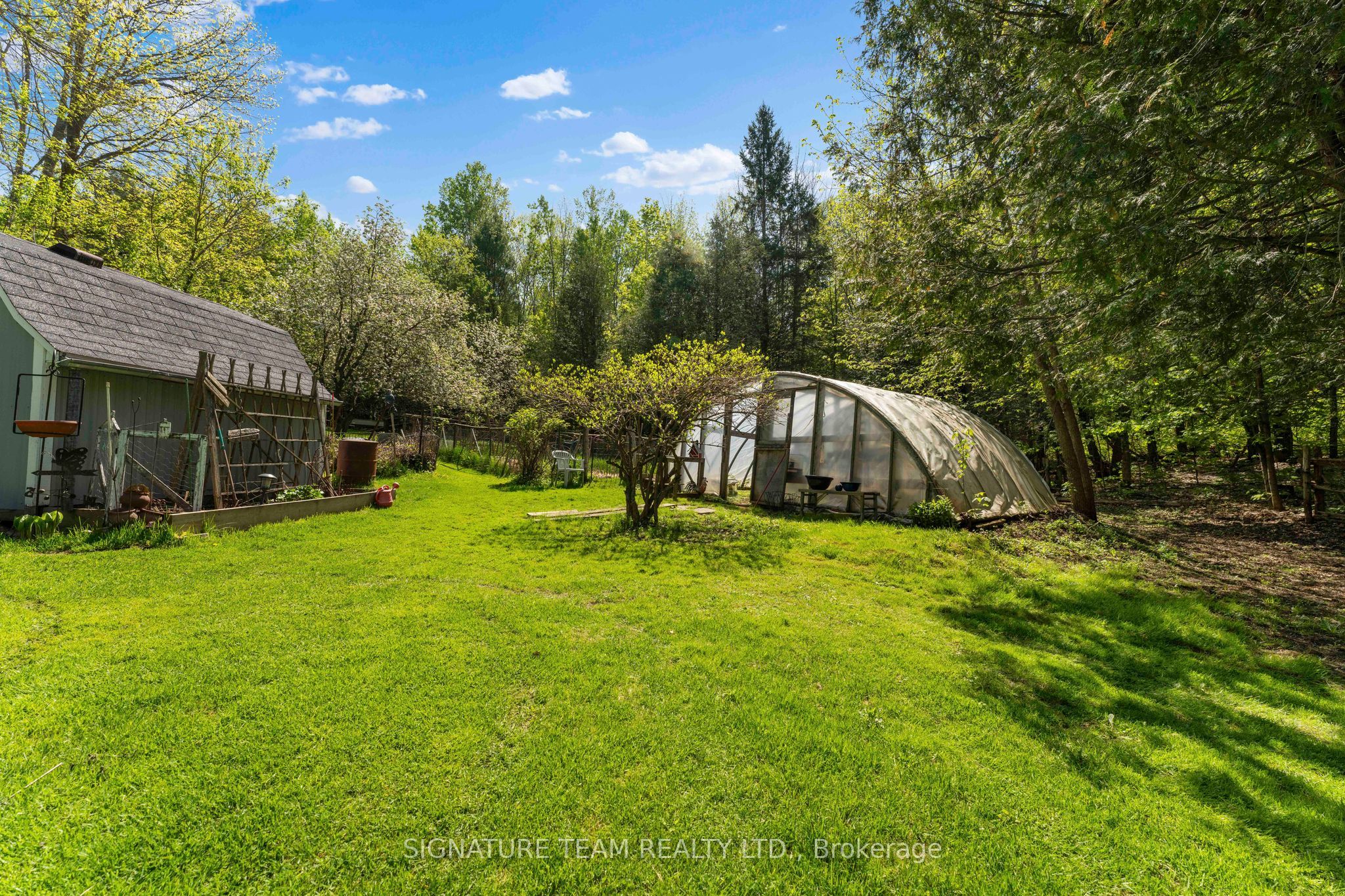 356 Dittburner Road Property Photo 7