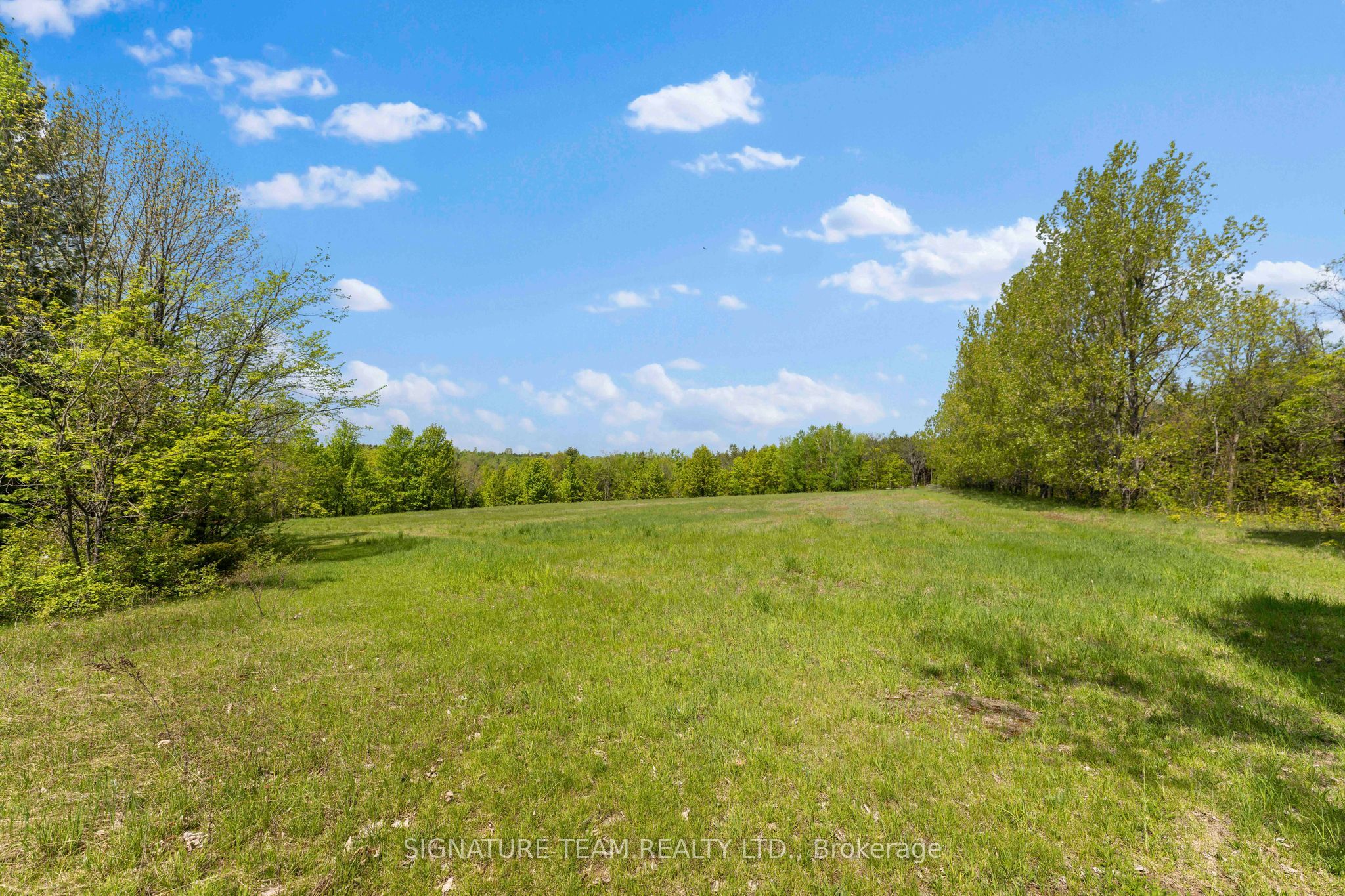 356 Dittburner Road Property Photo 17