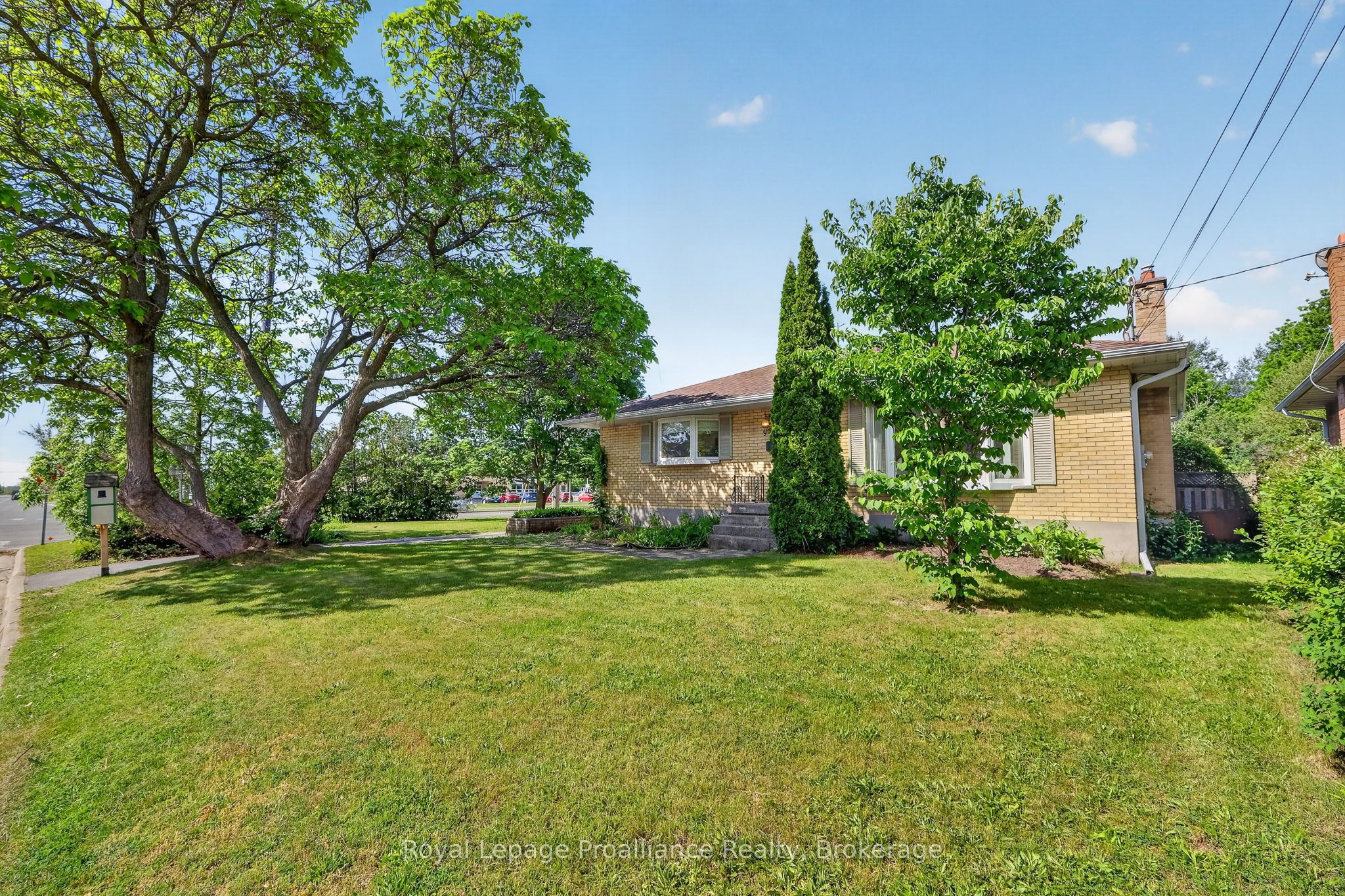 951 D'arcy Street Property Photo 46