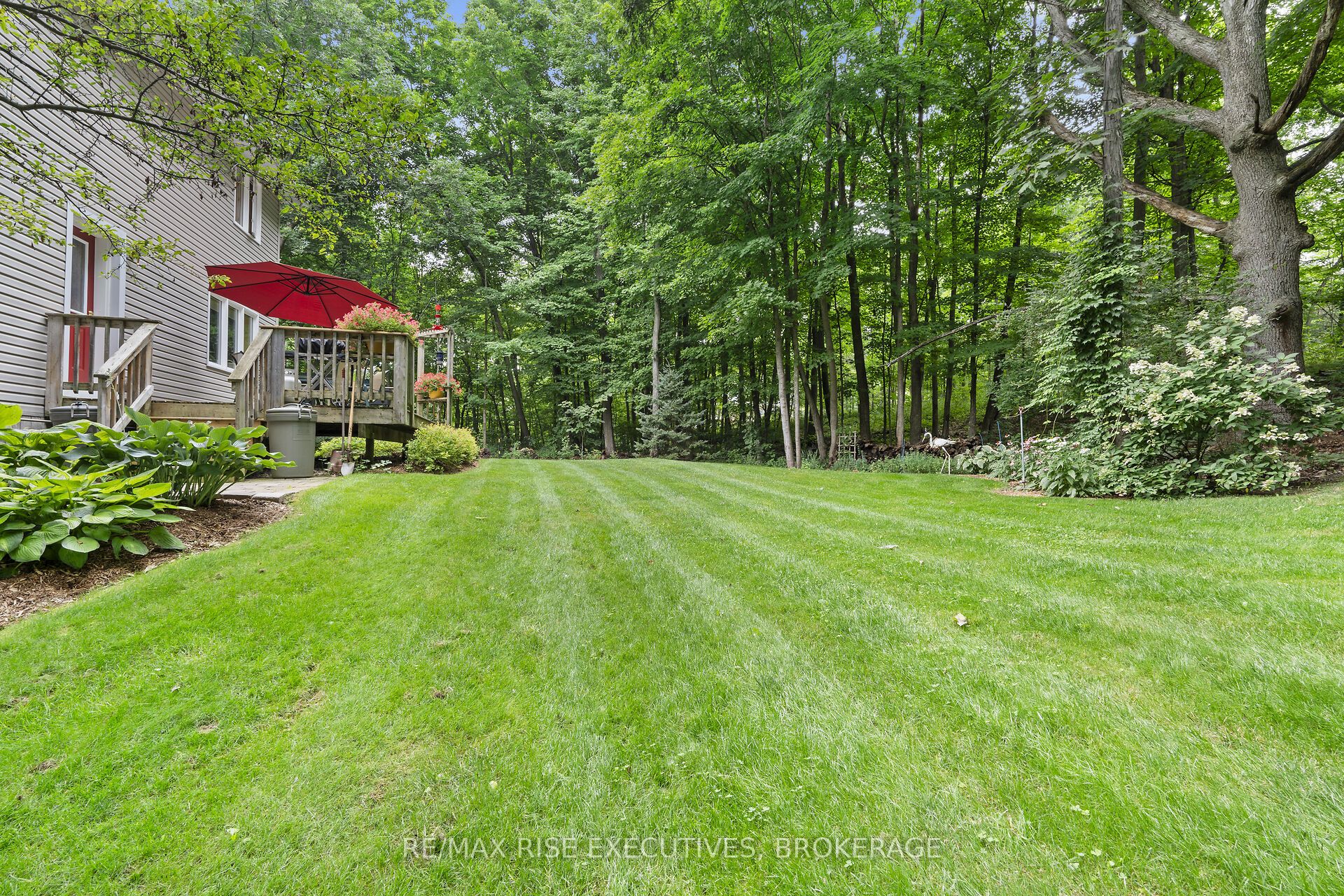 196 Old River Road Property Photo 32