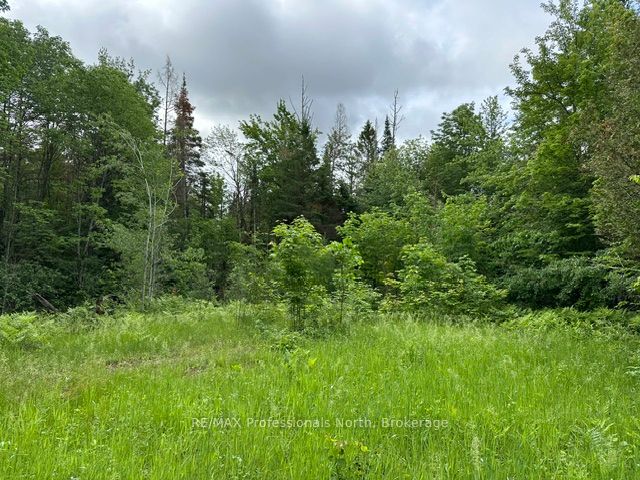 1164 Ravine Road Property Photo 1