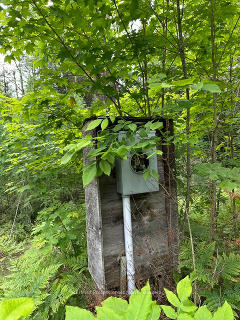 1164 Ravine Road Property Photo 2