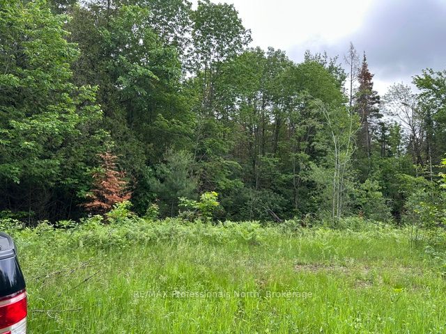 1164 Ravine Road Property Photo 7