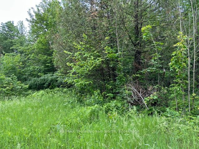 1164 Ravine Road Property Photo 8