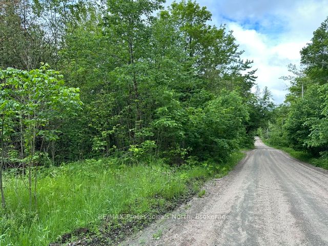 1164 Ravine Road Property Photo 10