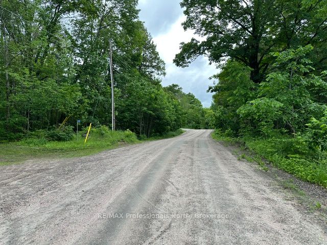 1164 Ravine Road Property Photo 11
