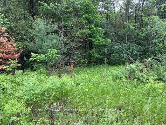 1164 Ravine Road Property Photo 13