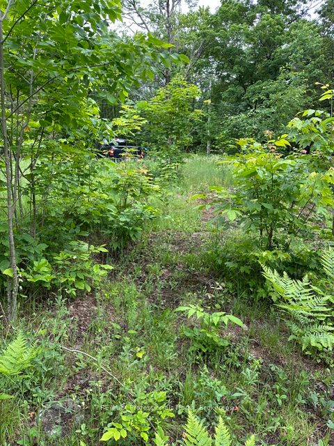 1164 Ravine Road Property Photo 14