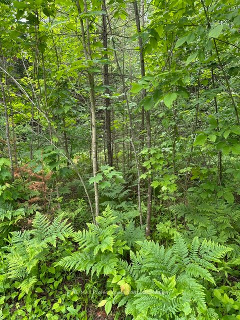 1164 Ravine Road Property Photo 15