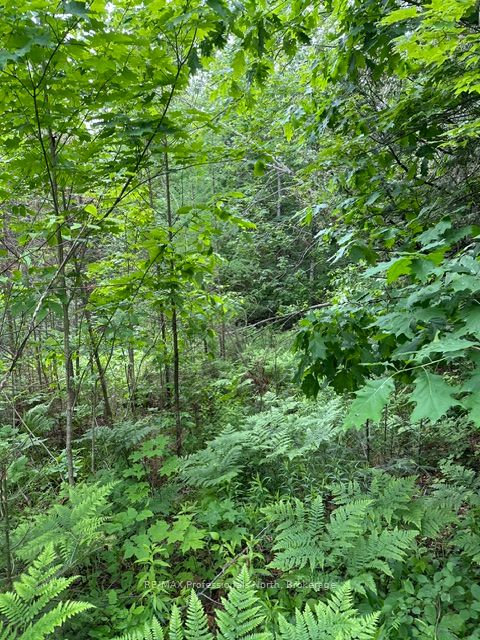 1164 Ravine Road Property Photo 16