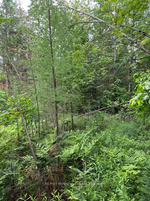 1164 Ravine Road Property Photo 17