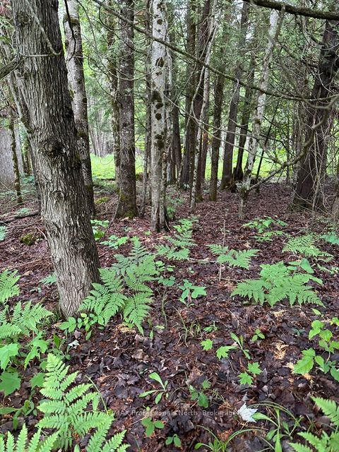 1164 Ravine Road Property Photo 18