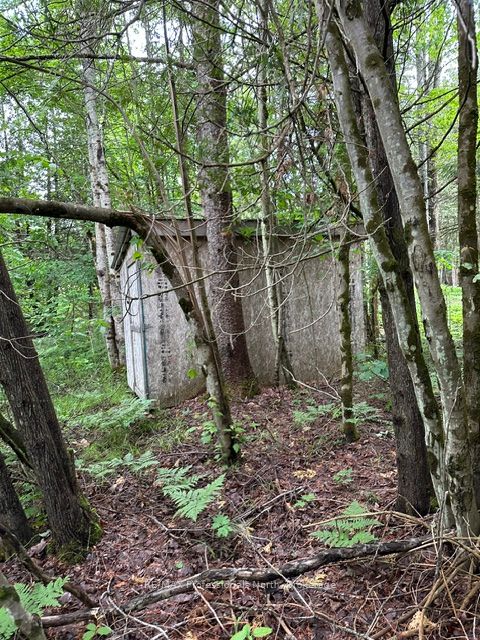 1164 Ravine Road Property Photo 19