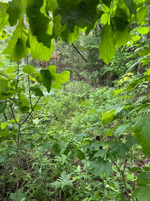 1164 Ravine Road Property Photo 20
