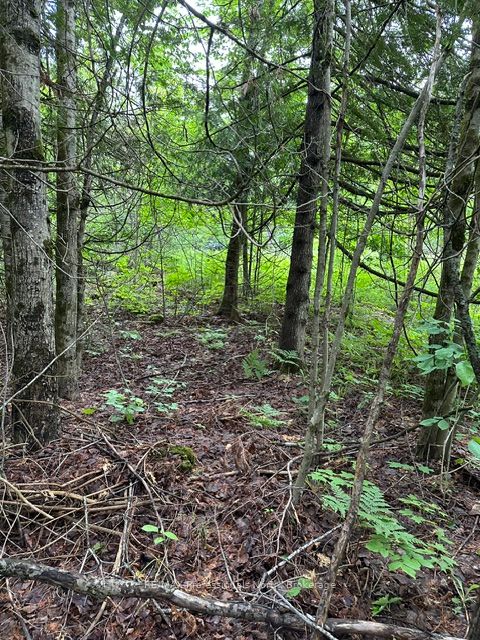 1164 Ravine Road Property Photo 21
