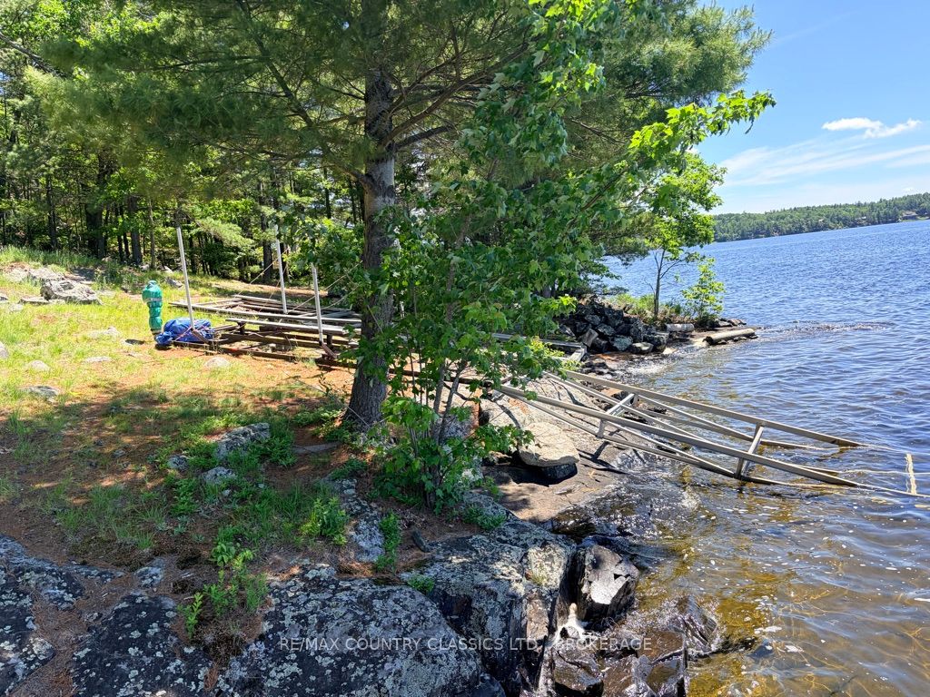 242b North Shore Road Property Photo 39