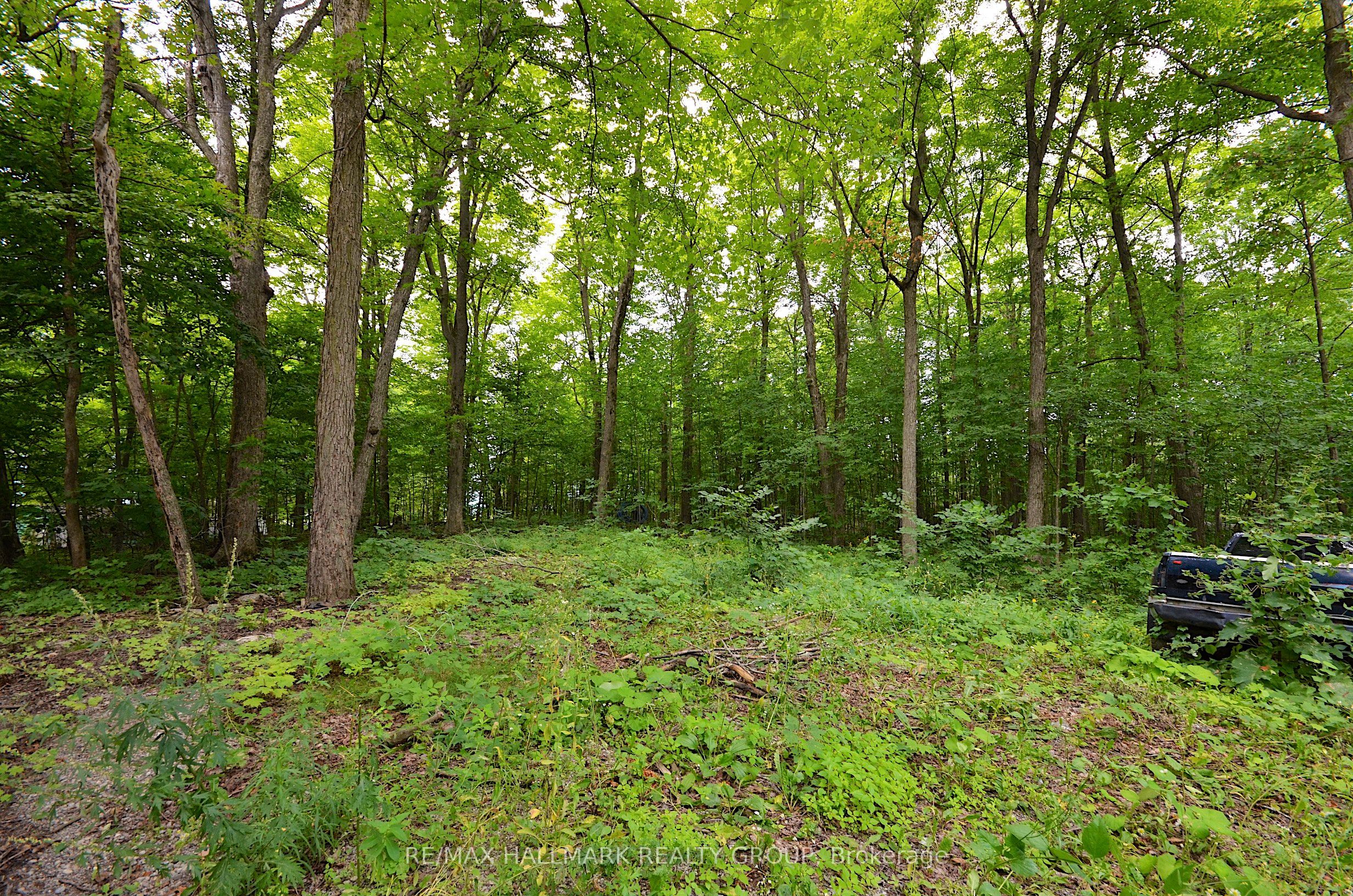 1675 Dunning Road Property Photo 46