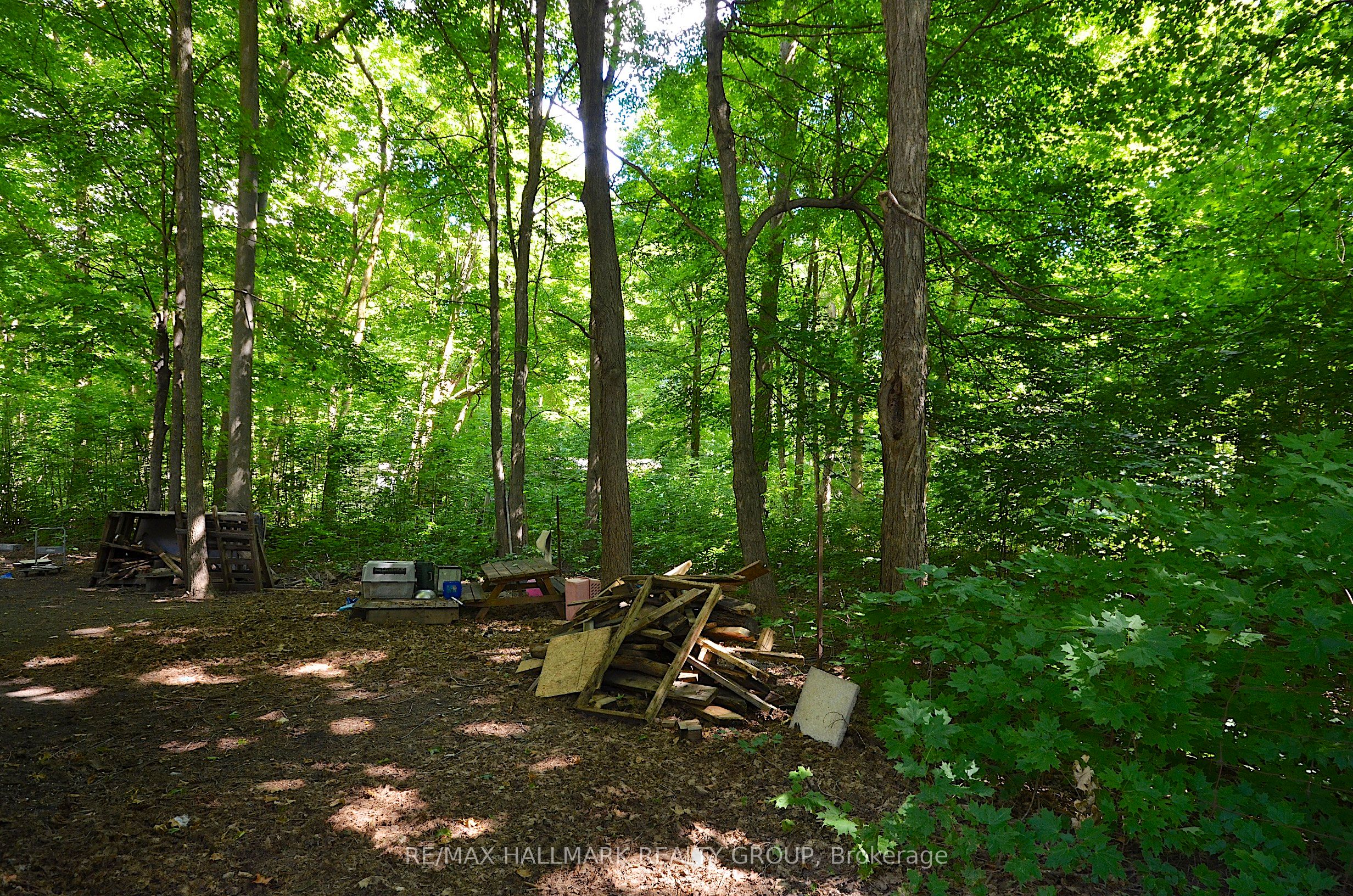 1675 Dunning Road Property Photo 50