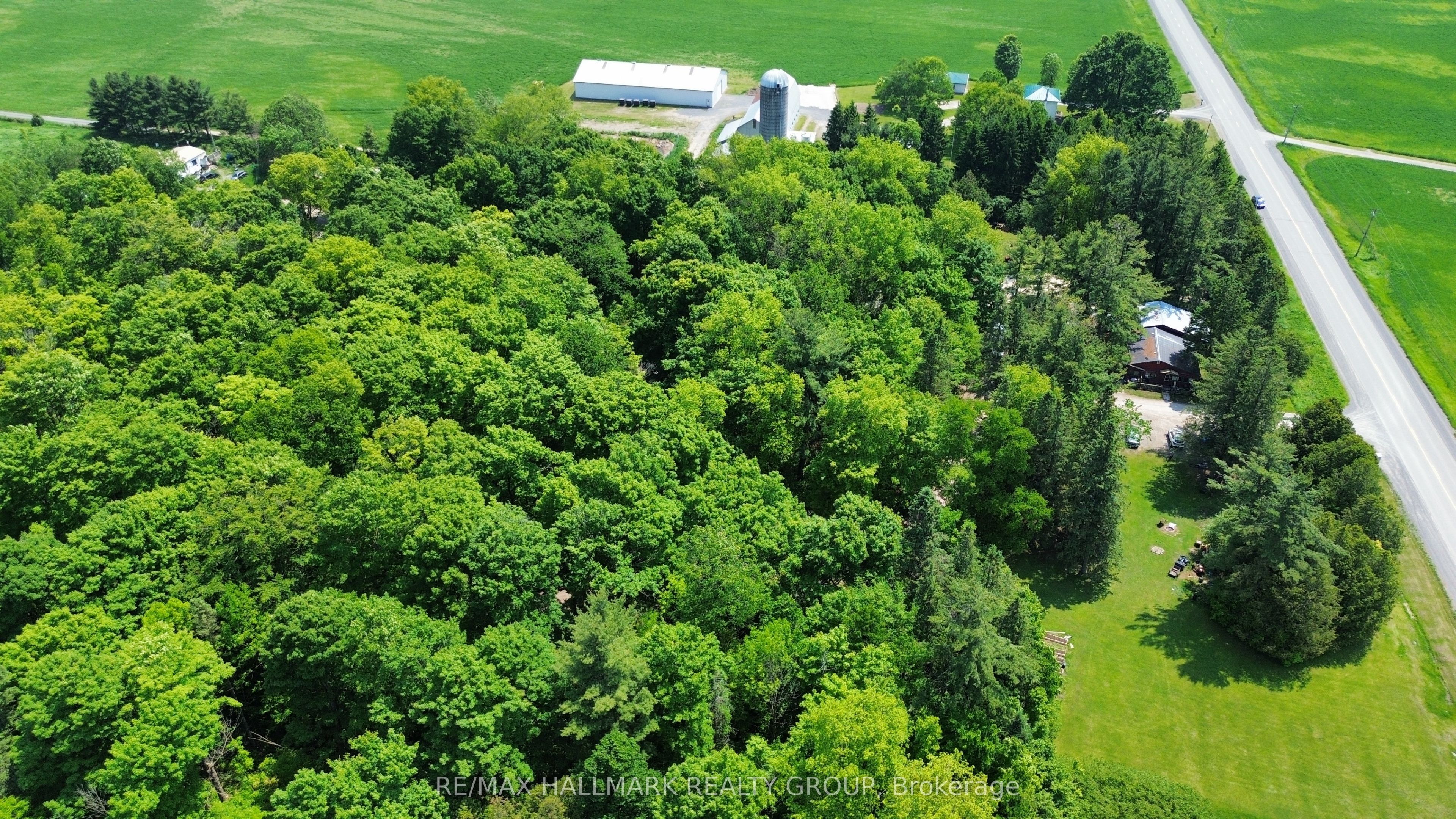 1675 Dunning Road Property Photo 20