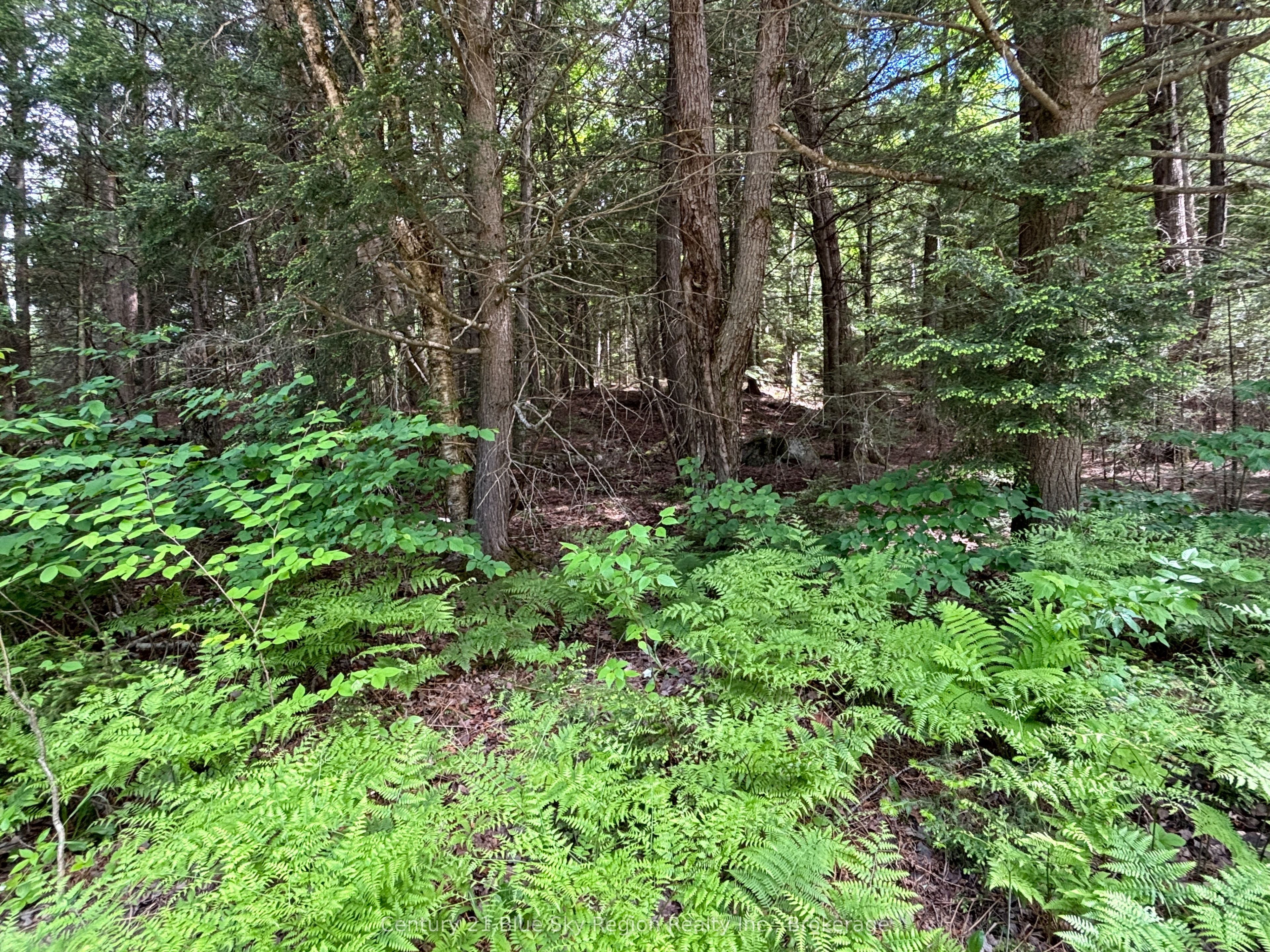 Lot 3 Latimer Lane Property Photo 6