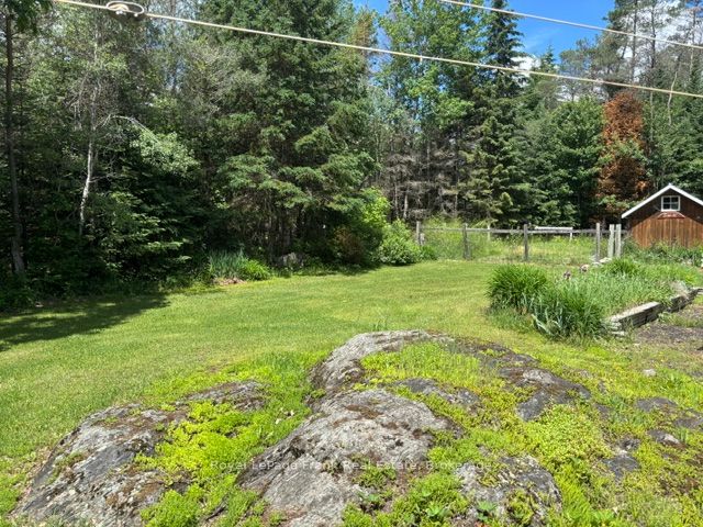 5794 Highway 620 Property Photo 35