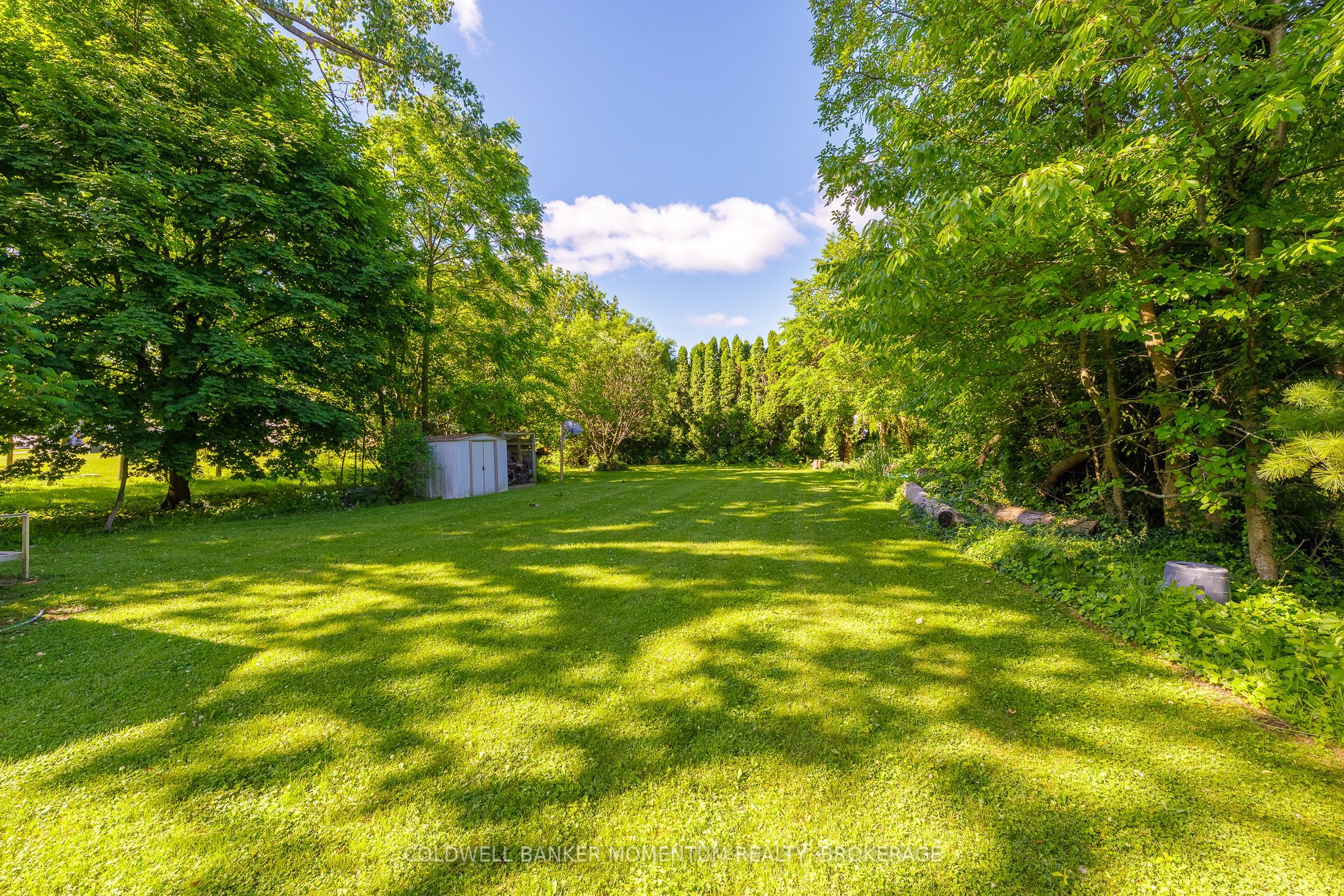 376 William Street Property Photo 19