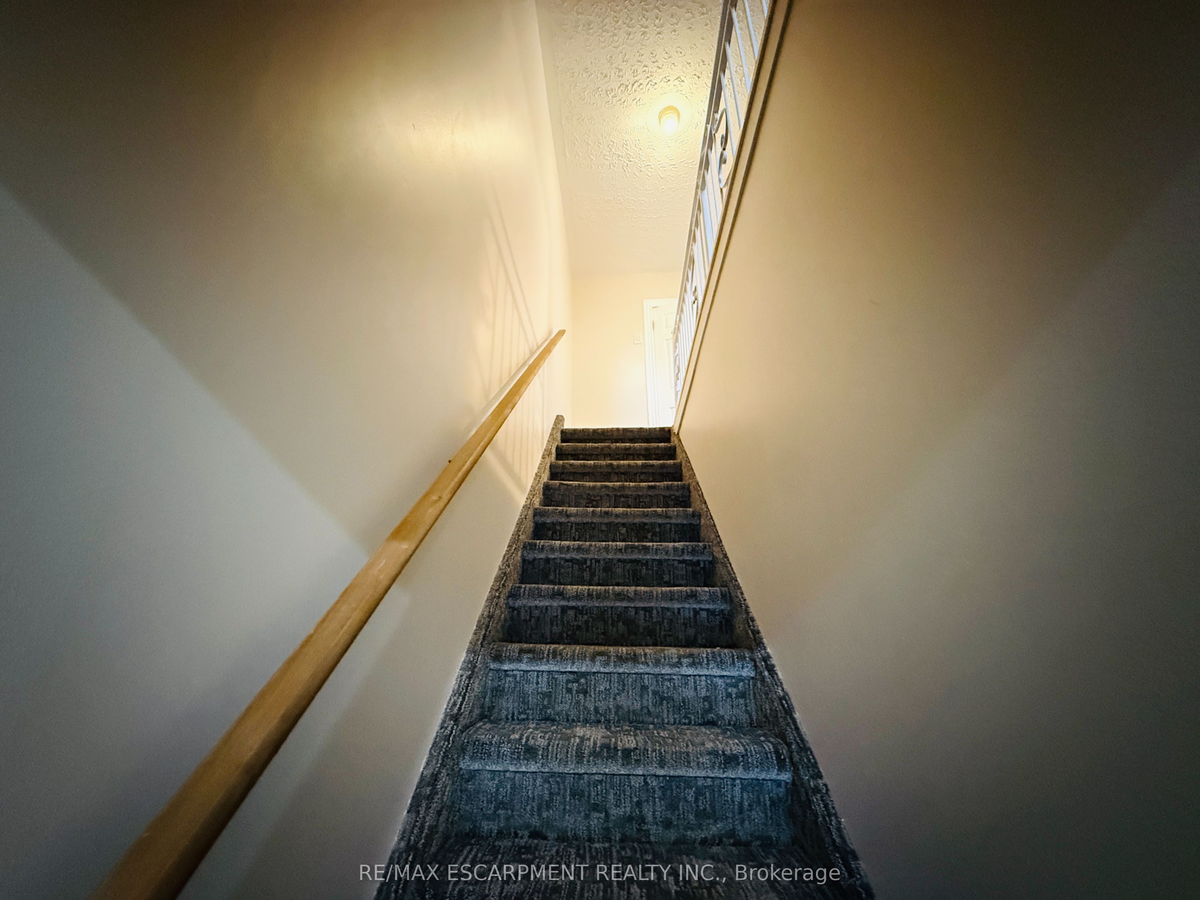 24 Somerset Avenue Property Photo 15