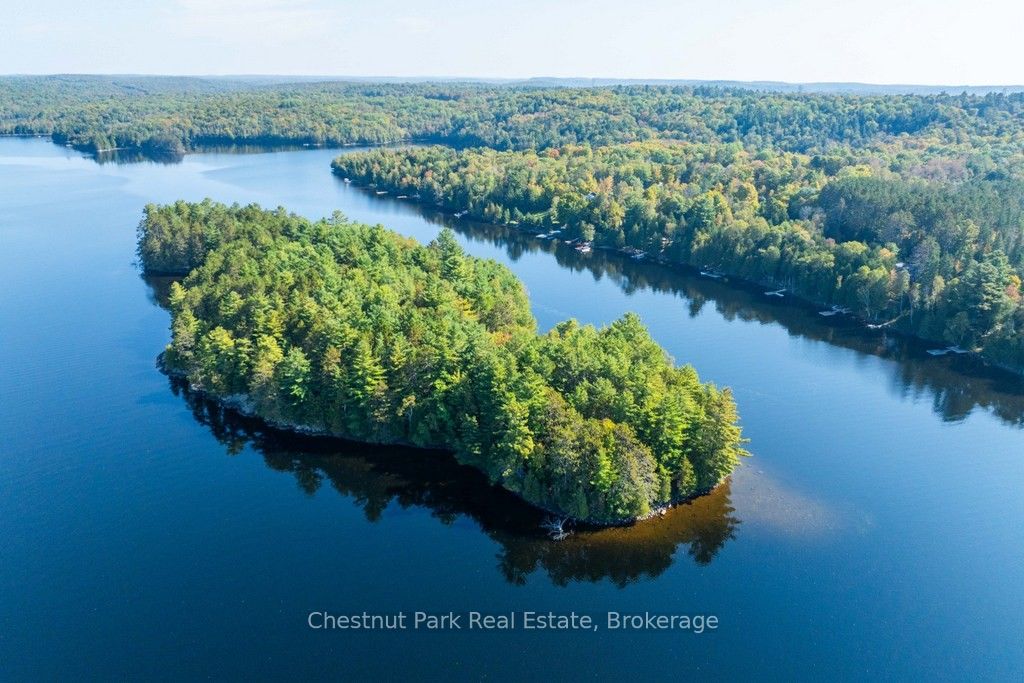 10000 Soyers - Brown Island Property Photo 1