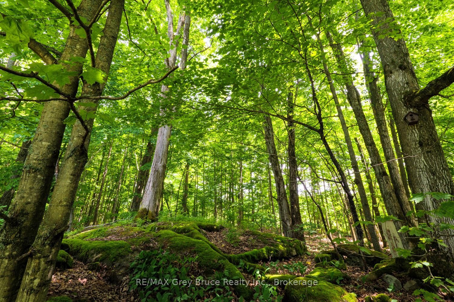 108 Coveney's Road Property Photo 18