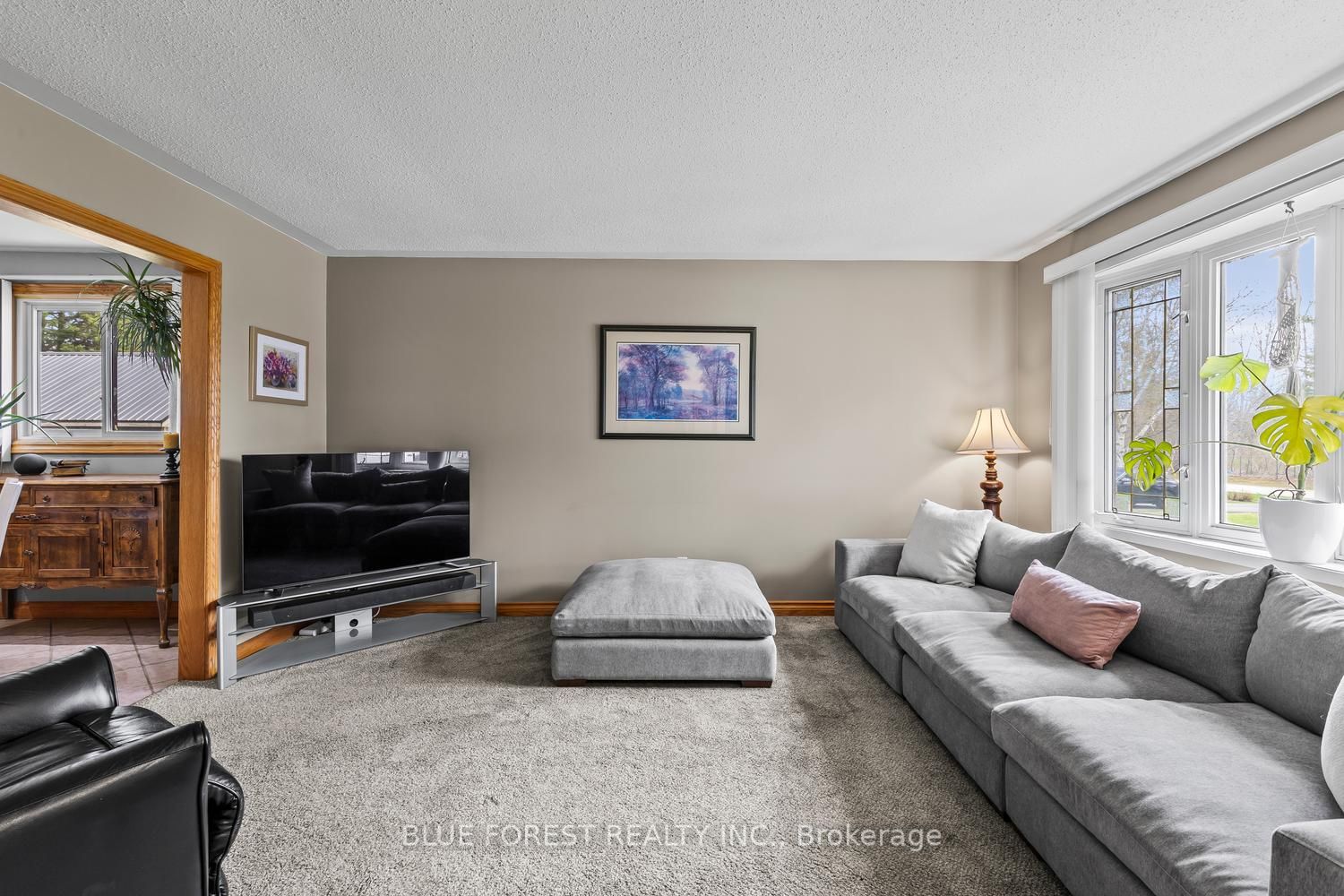 2362 Slo Pitch Road Property Photo 8