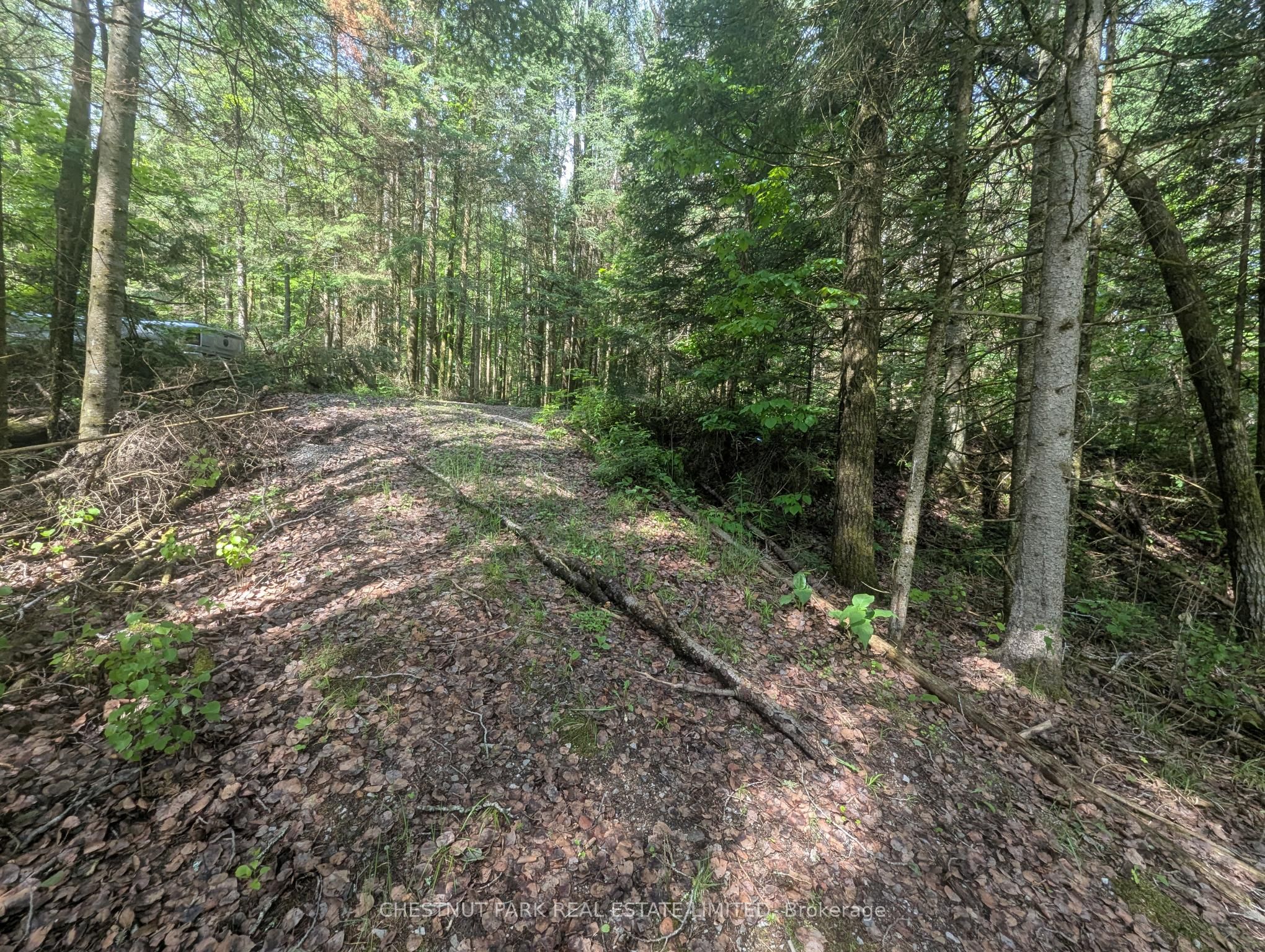 0 Highway 503 Highway Property Photo 3