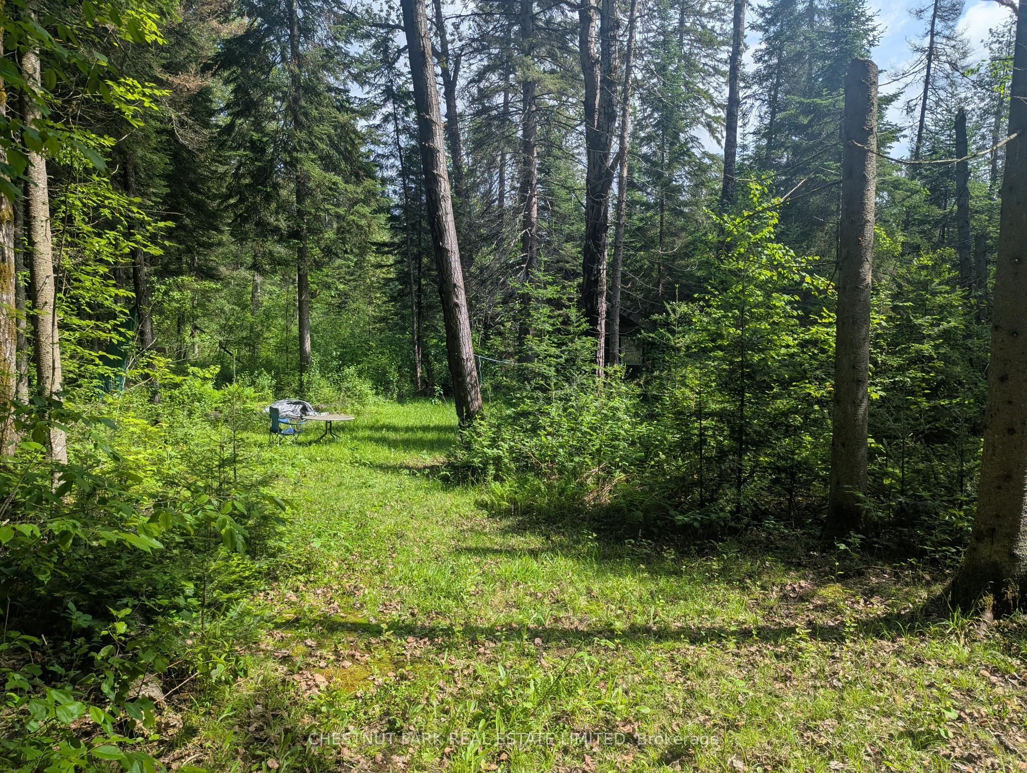 0 Highway 503 Highway Property Photo 5